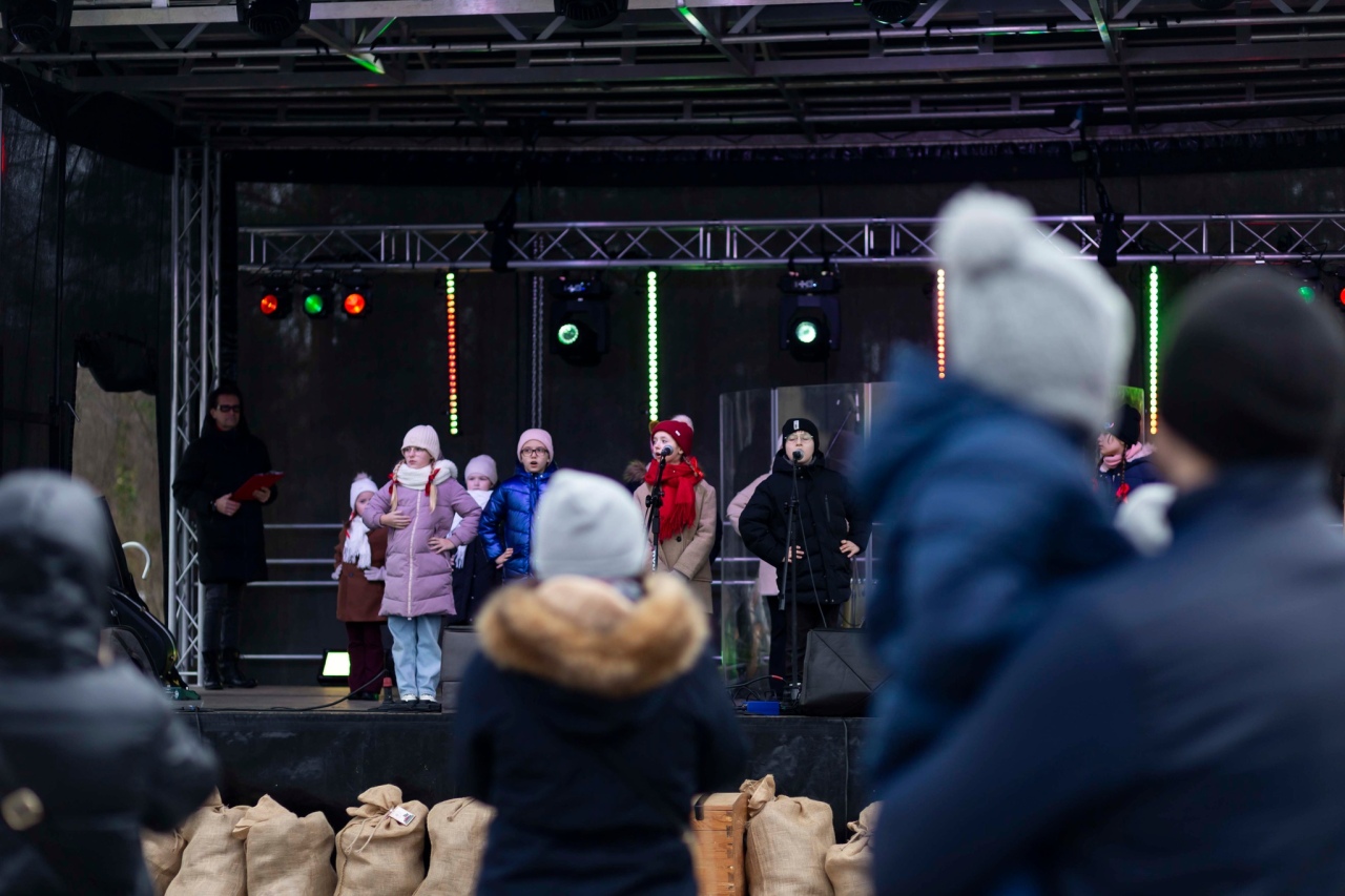 IV Jarmark Bożonarodzeniowy w Czerwinie wspomnienia fot. Gmina Czerwin [30.12.2025] - zdjęcie #56 - eOstroleka.pl