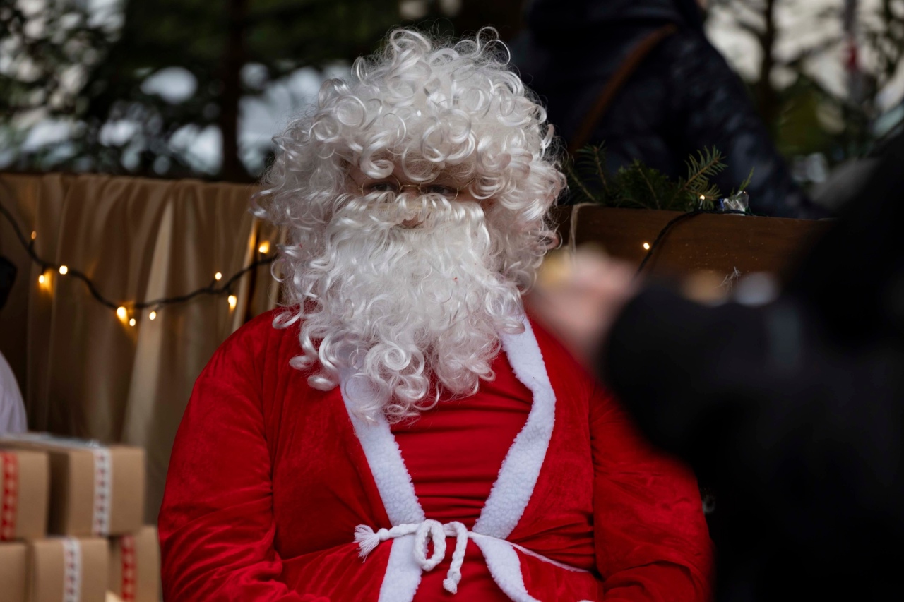 IV Jarmark Bożonarodzeniowy w Czerwinie wspomnienia fot. Gmina Czerwin [30.12.2025] - zdjęcie #39 - eOstroleka.pl