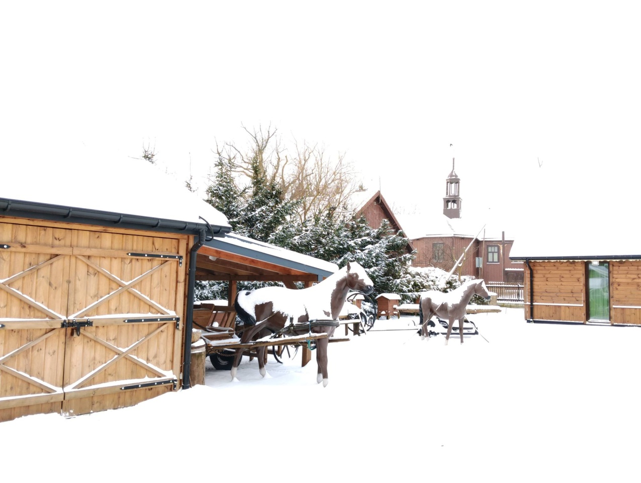 Najpiękniejsze posesje gminy Baranowo - zdjęcie #17 - eOstroleka.pl