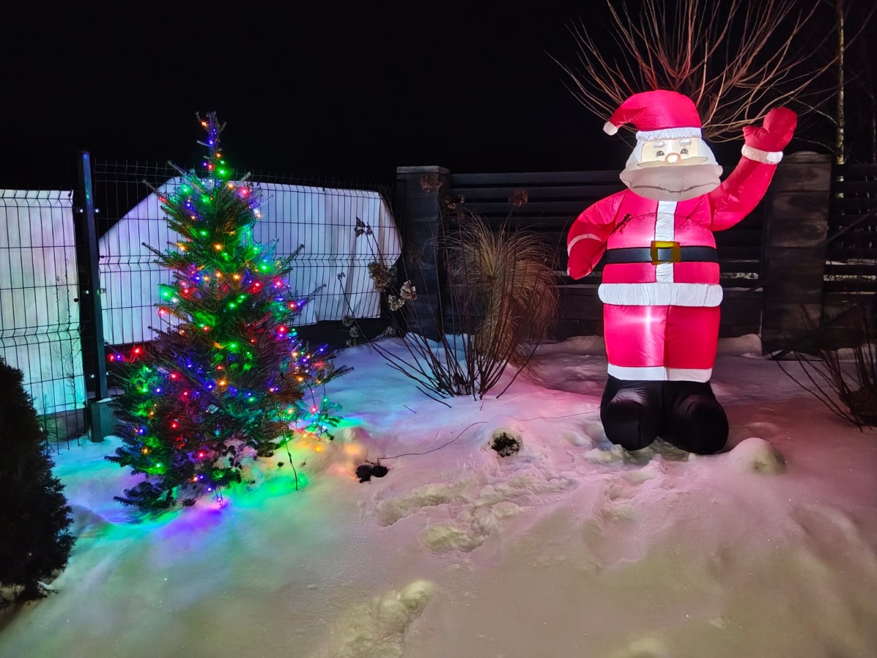 Najpiękniejsze posesje gminy Baranowo - zdjęcie #16 - eOstroleka.pl