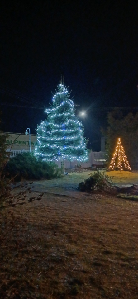 Najpiękniejsze posesje gminy Baranowo - zdjęcie #13 - eOstroleka.pl