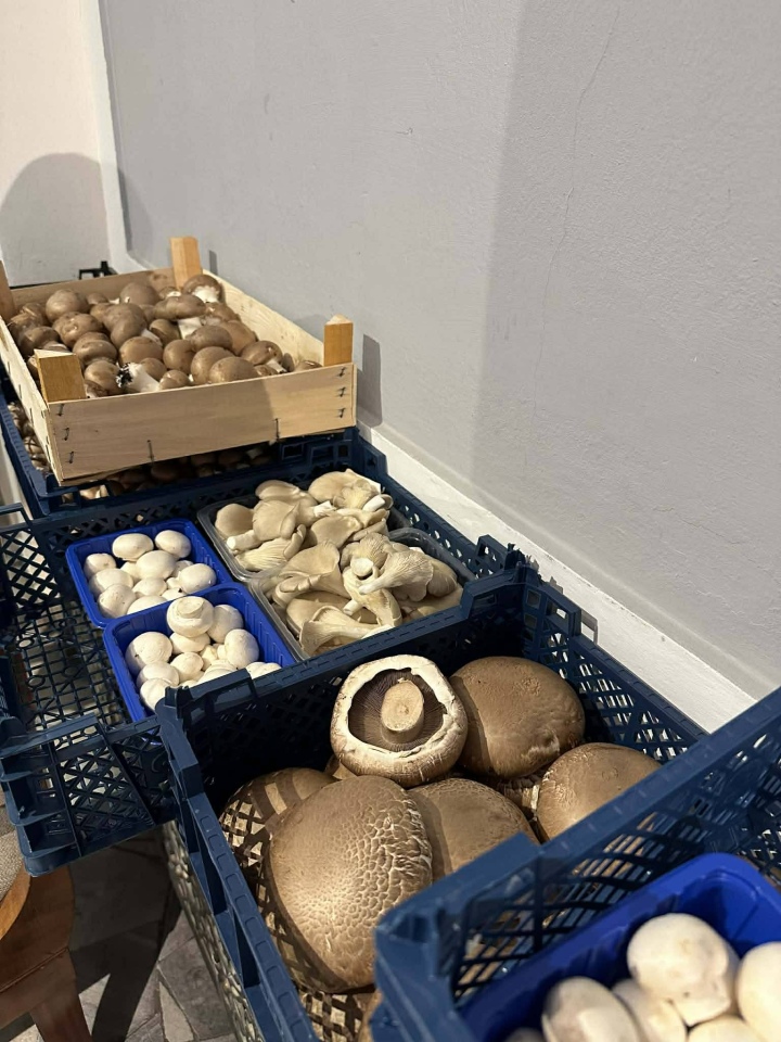 Zwycięstwo uczniów ZSZ nr 4 w ogólnopolskim konkursie kulinarnym fot. ZSZ nr 4 [14.01.2026] - zdjęcie #15 - eOstroleka.pl