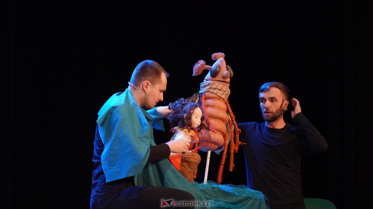 Godziny dla rodziny w OCK Calineczka [18.01.2026] - zdjęcie #16 - eOstroleka.pl