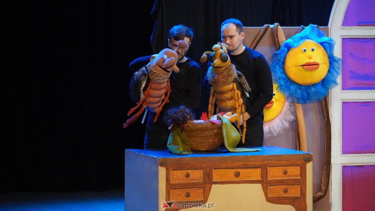 Godziny dla rodziny w OCK Calineczka [18.01.2026] - zdjęcie #2 - eOstroleka.pl