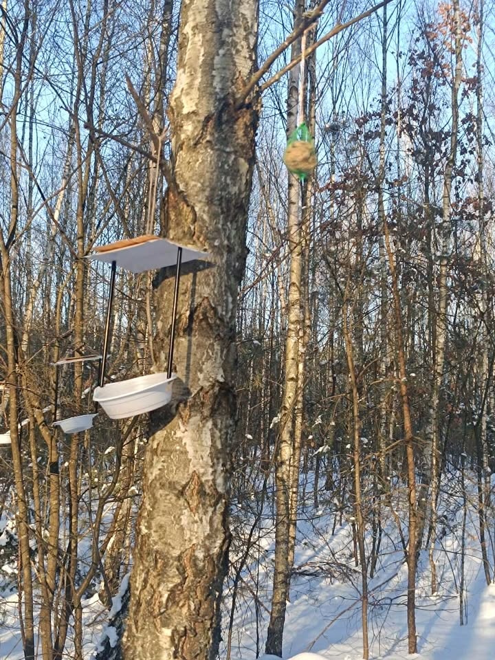 Ferie CK-BiS Lelis fot. CK-BiS Lelis [22.01.2026] - zdjęcie #15 - eOstroleka.pl