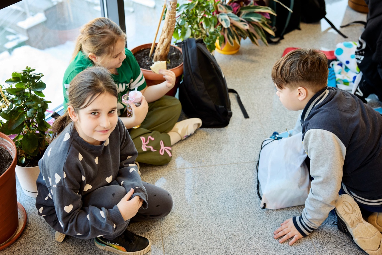 Ferie GOK Olszewo-Borki fot.GOK Olszewo-Borki [23.01.2026] - zdjęcie #15 - eOstroleka.pl