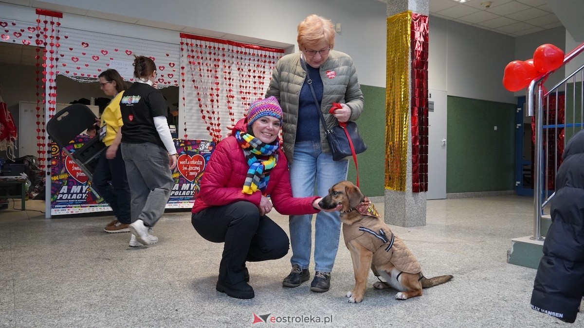 34. Finał WOŚP w Ostrołęce [25.01.2026] - zdjęcie #12 - eOstroleka.pl