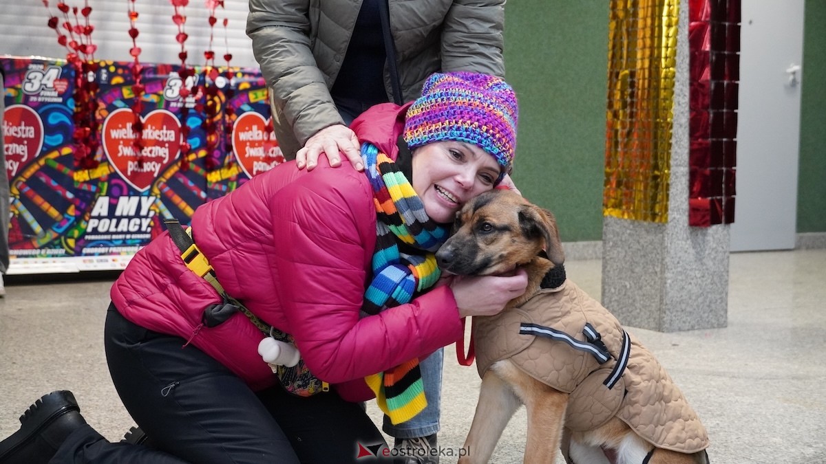 34. Finał WOŚP w Ostrołęce [25.01.2026] - zdjęcie #9 - eOstroleka.pl