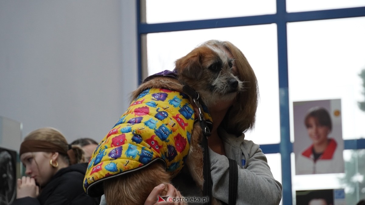 34. Finał WOŚP w Ostrołęce [25.01.2026] - zdjęcie #6 - eOstroleka.pl