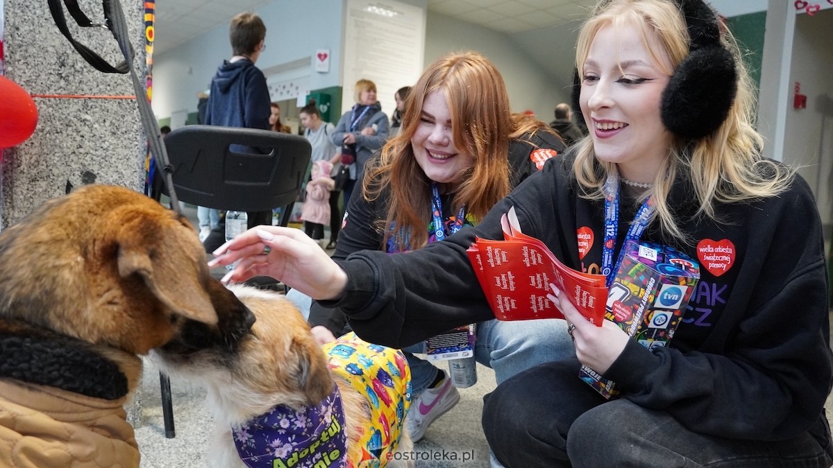 34. Finał WOŚP w Ostrołęce [25.01.2026] - zdjęcie #4 - eOstroleka.pl