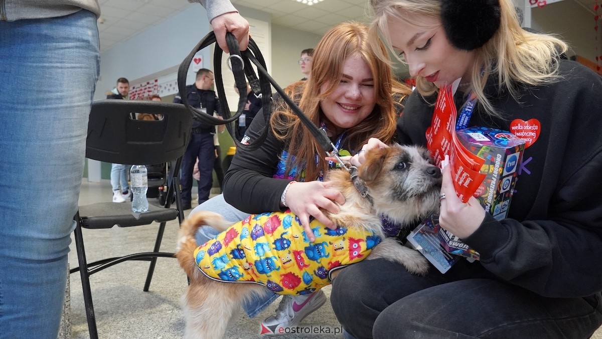 34. Finał WOŚP w Ostrołęce [25.01.2026] - zdjęcie #3 - eOstroleka.pl