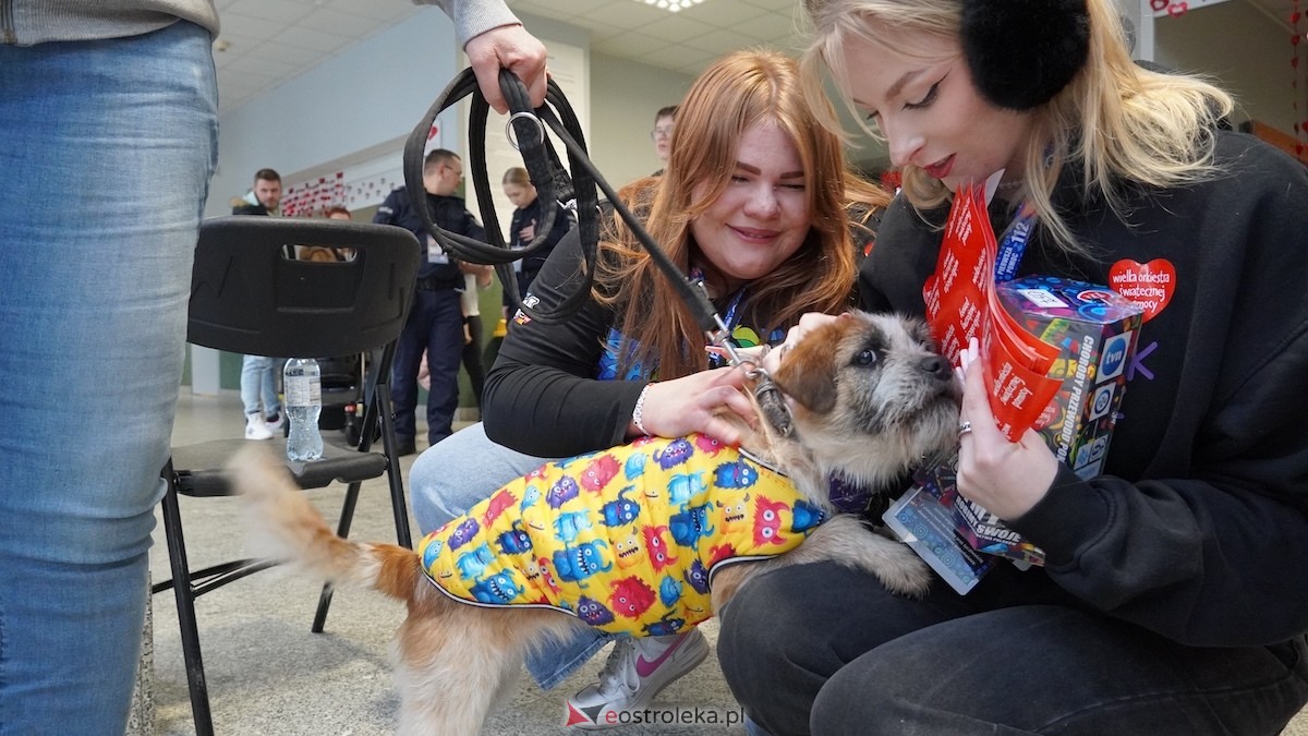 34. Finał WOŚP w Ostrołęce [25.01.2026] - zdjęcie #2 - eOstroleka.pl