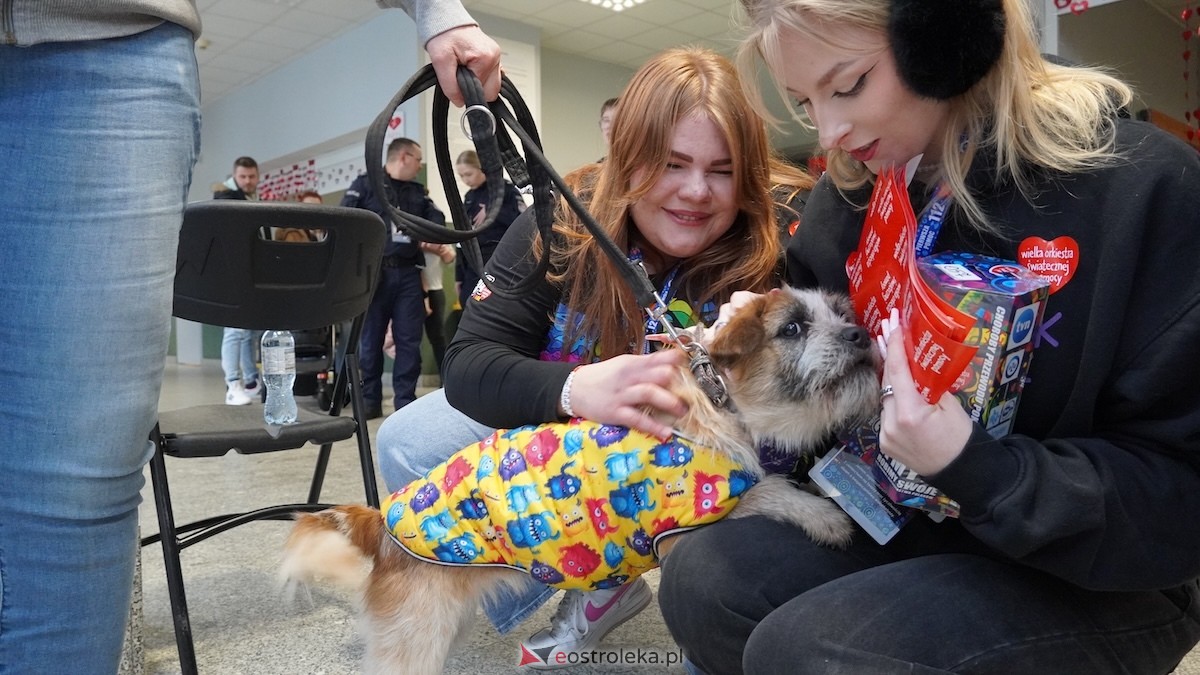 34. Finał WOŚP w Ostrołęce [25.01.2026] - zdjęcie #1 - eOstroleka.pl