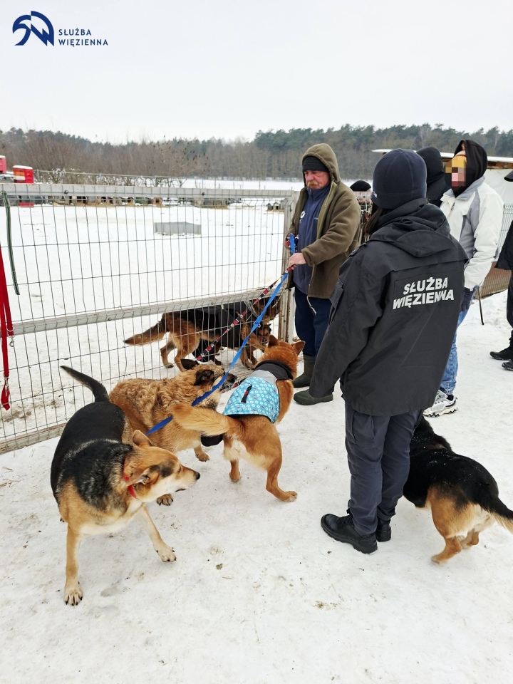 ZK Przytuły Stare wspiera schronisko dla zwierząt, fot. Służba Więzienna - zdjęcie #9 - eOstroleka.pl