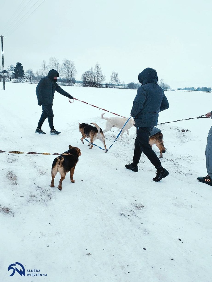 ZK Przytuły Stare wspiera schronisko dla zwierząt, fot. Służba Więzienna - zdjęcie #1 - eOstroleka.pl