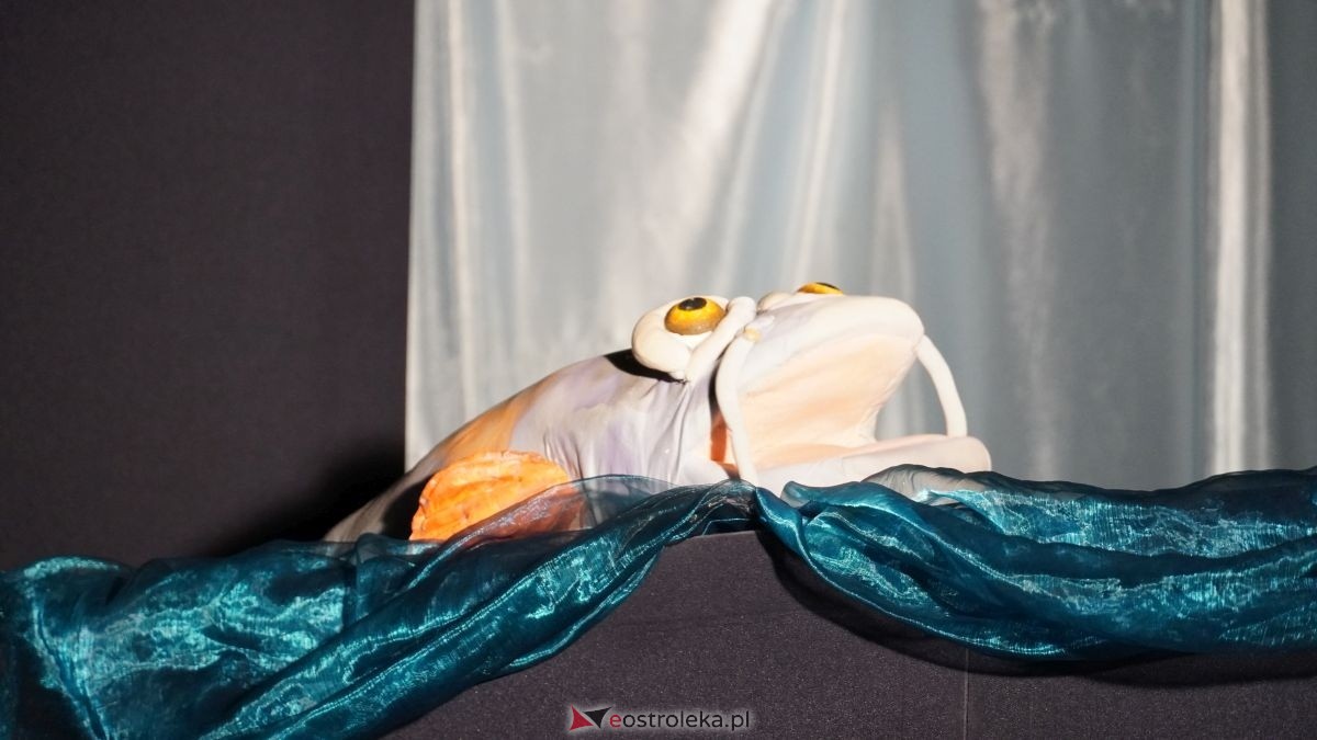 Teatr lalek Igraszka ze spektaklem Wiślana opowieść w CK-BiS w Lelisie [28.01.2026] - zdjęcie #41 - eOstroleka.pl