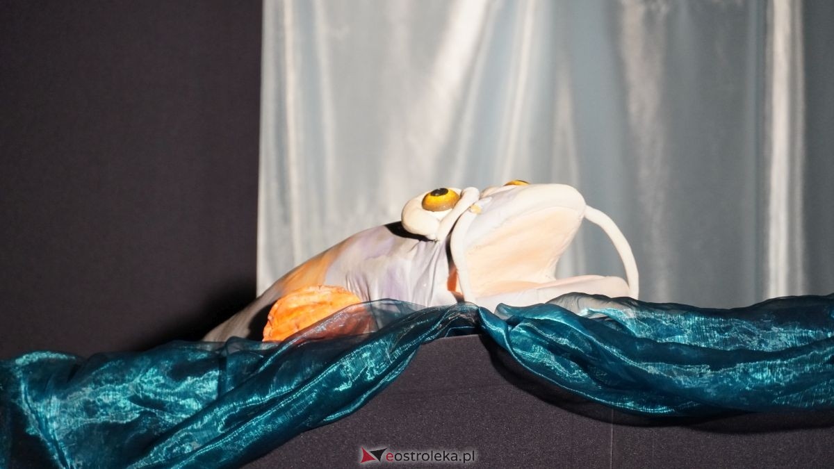 Teatr lalek Igraszka ze spektaklem Wiślana opowieść w CK-BiS w Lelisie [28.01.2026] - zdjęcie #40 - eOstroleka.pl