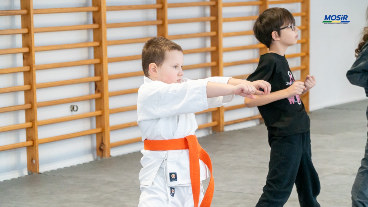 Ferie z karate w Ostrołęce, fot. MOSIR Ostrołęka - zdjęcie #17 - eOstroleka.pl