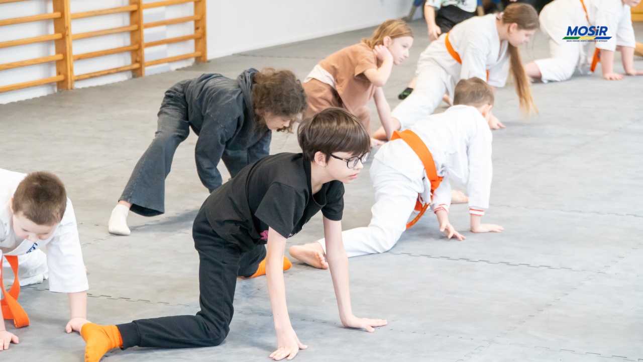 Ferie z karate w Ostrołęce, fot. MOSIR Ostrołęka - zdjęcie #11 - eOstroleka.pl