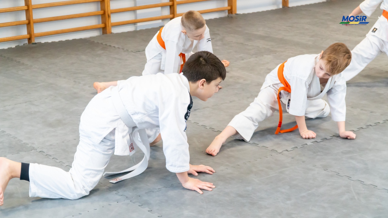 Ferie z karate w Ostrołęce, fot. MOSIR Ostrołęka - zdjęcie #10 - eOstroleka.pl