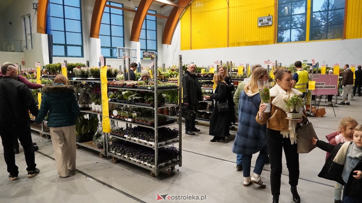 Festiwal roślin w Ostrołęce [28.02.2026] - zdjęcie #28 - eOstroleka.pl