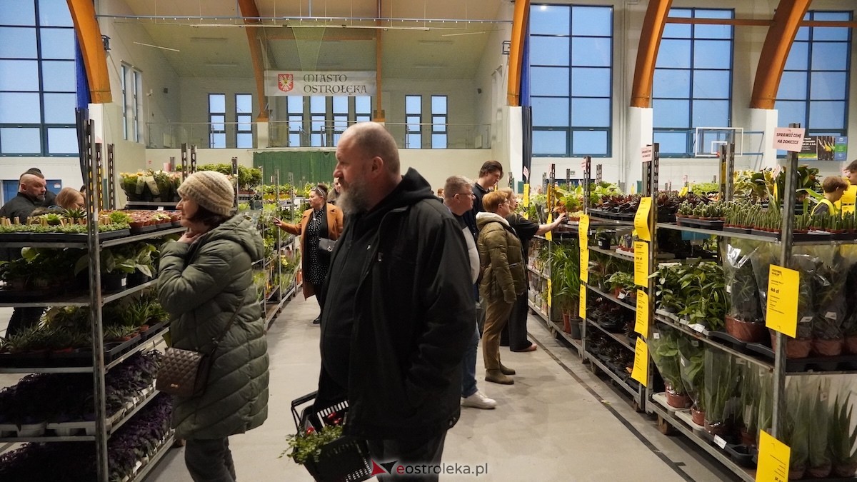 Festiwal roślin w Ostrołęce [28.02.2026] - zdjęcie #27 - eOstroleka.pl
