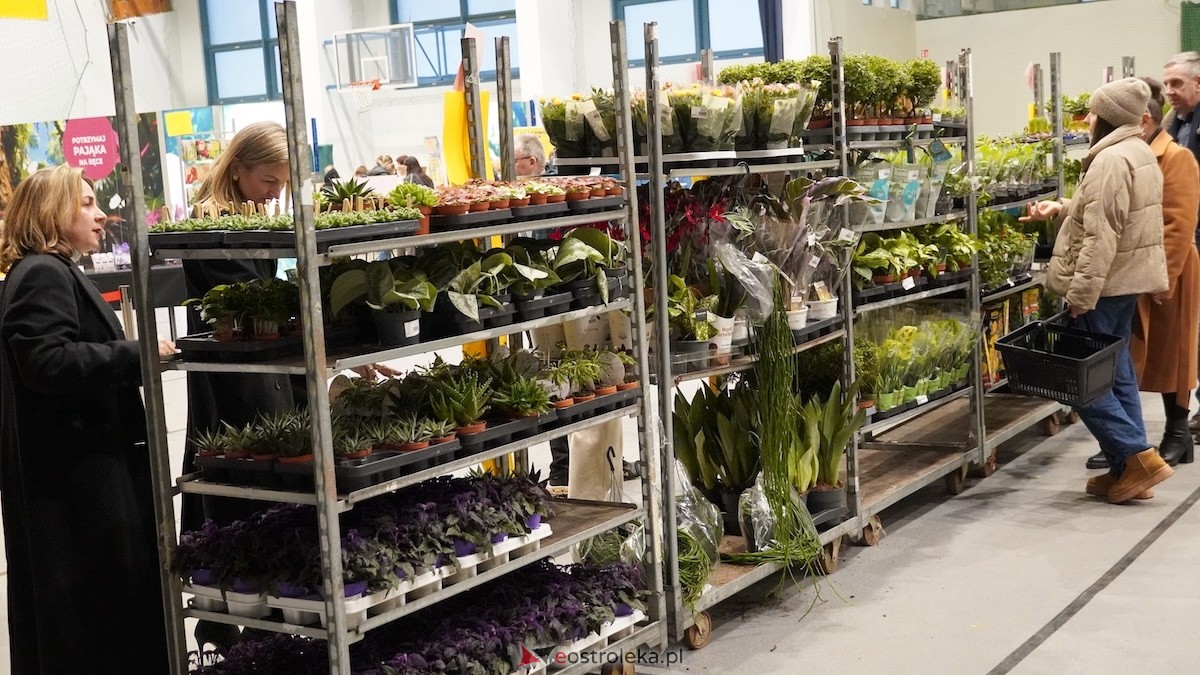 Festiwal roślin w Ostrołęce [28.02.2026] - zdjęcie #26 - eOstroleka.pl