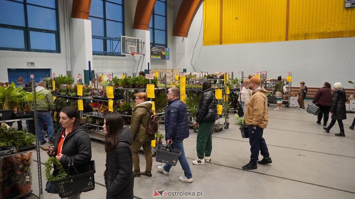 Festiwal roślin w Ostrołęce [28.02.2026] - zdjęcie #23 - eOstroleka.pl