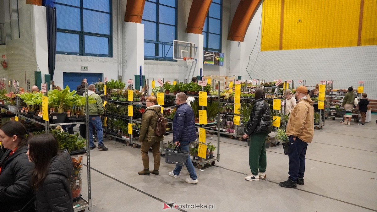 Festiwal roślin w Ostrołęce [28.02.2026] - zdjęcie #22 - eOstroleka.pl