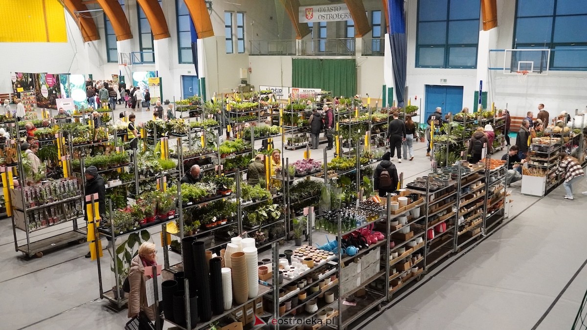 Festiwal roślin w Ostrołęce [28.02.2026] - zdjęcie #12 - eOstroleka.pl