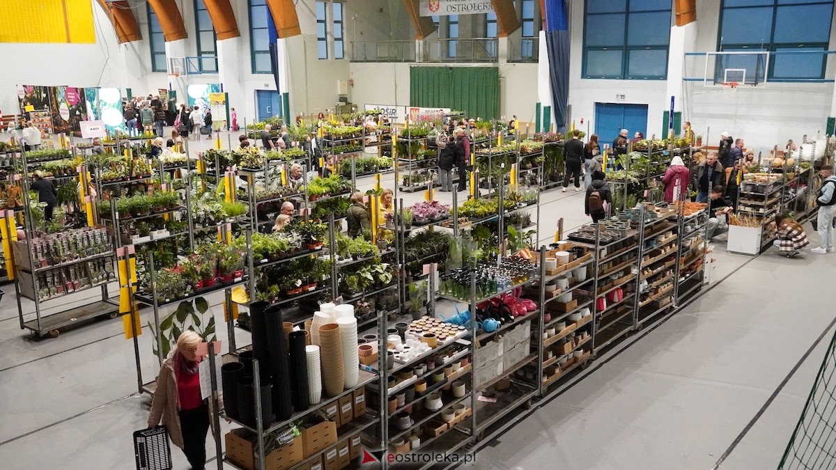 Festiwal roślin w Ostrołęce [28.02.2026] - zdjęcie #11 - eOstroleka.pl
