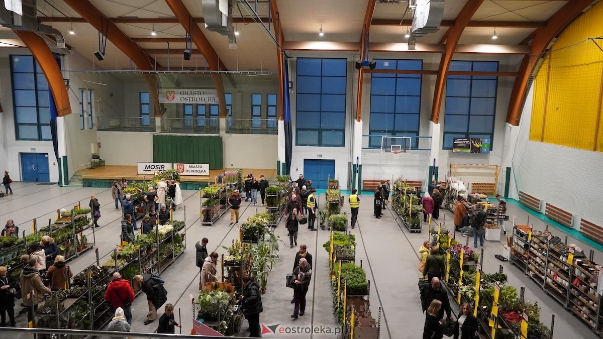 Festiwal roślin w Ostrołęce [28.02.2026] - zdjęcie #10 - eOstroleka.pl