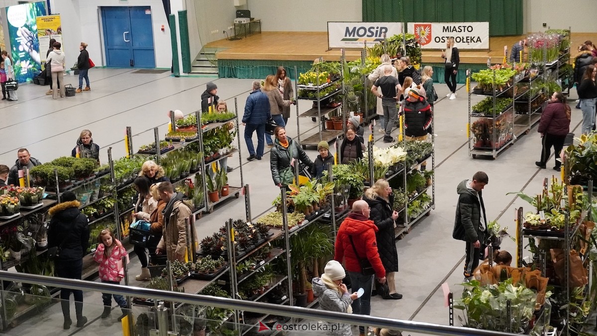 Festiwal roślin w Ostrołęce [28.02.2026] - zdjęcie #9 - eOstroleka.pl