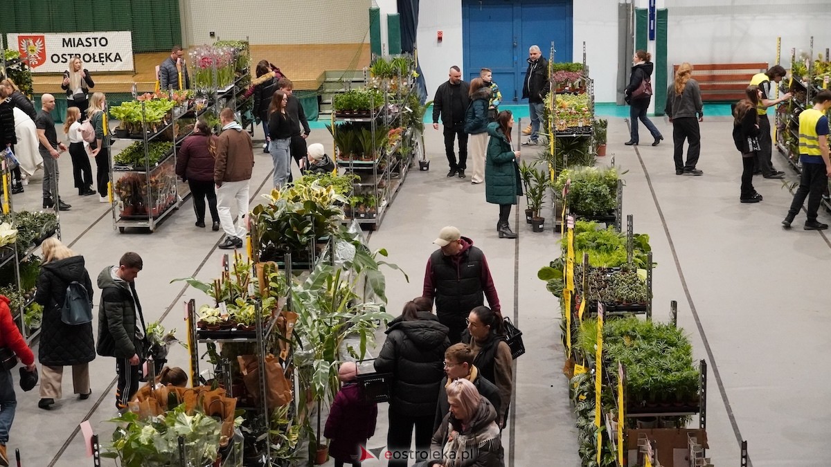 Festiwal roślin w Ostrołęce [28.02.2026] - zdjęcie #8 - eOstroleka.pl