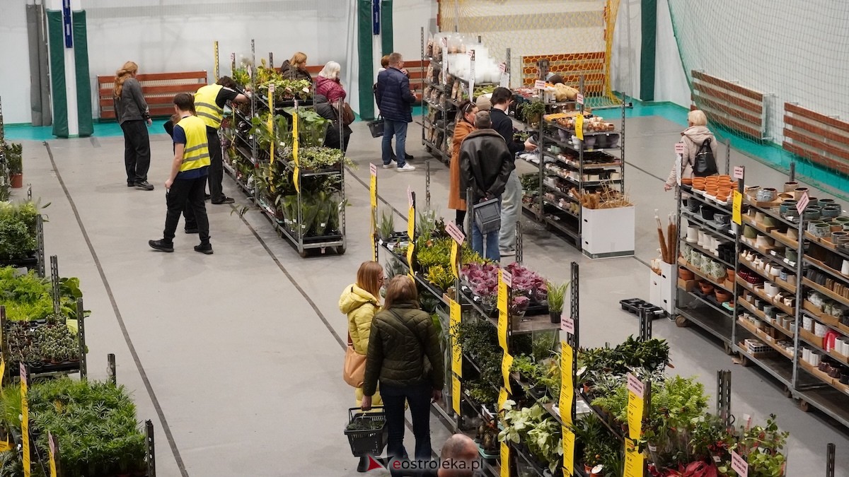 Festiwal roślin w Ostrołęce [28.02.2026] - zdjęcie #7 - eOstroleka.pl