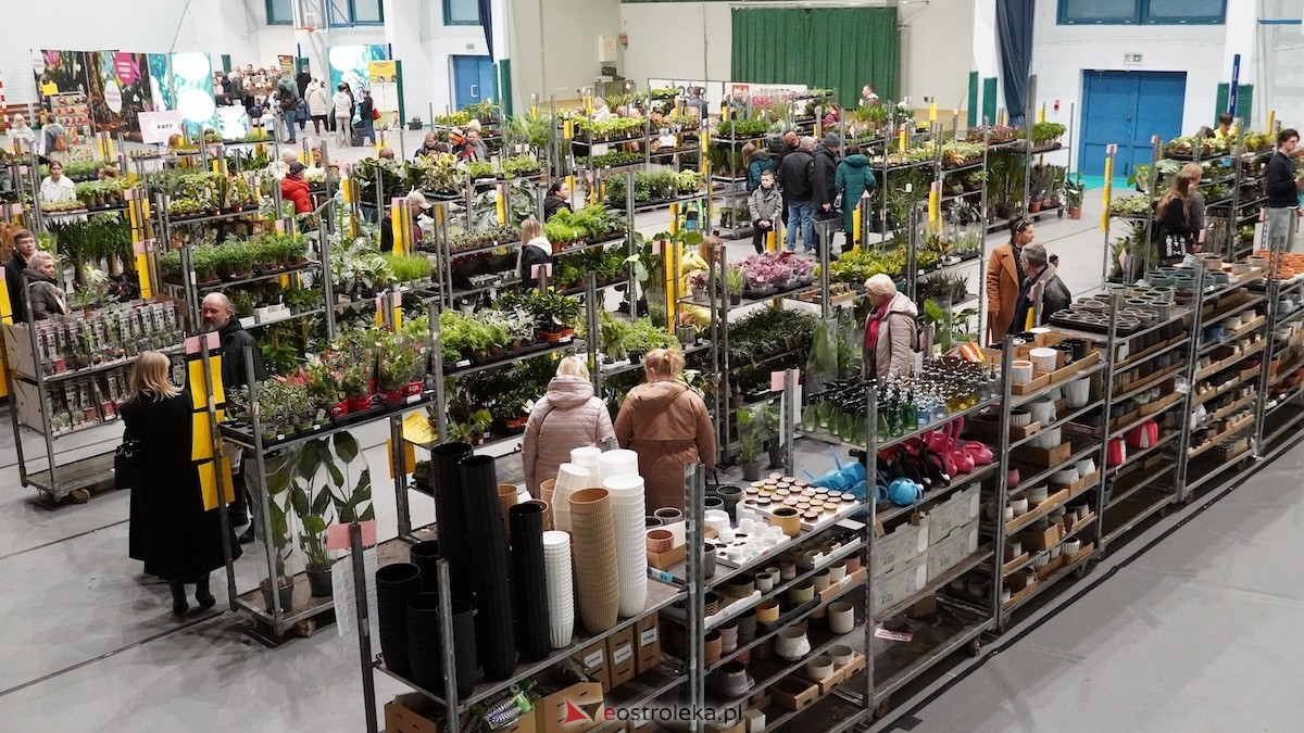 Festiwal roślin w Ostrołęce [28.02.2026] - zdjęcie #4 - eOstroleka.pl