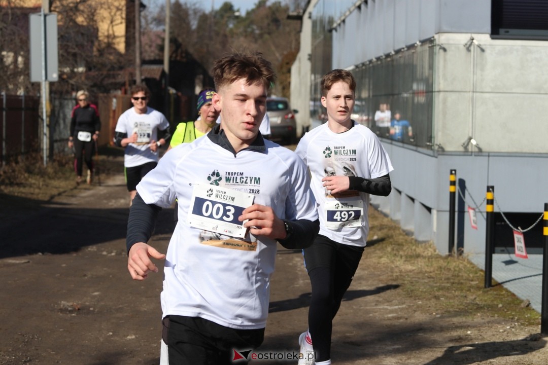 Bieg Tropem Wilczym 2026 Ostrołęka [01.03.2026] - zdjęcie #229 - eOstroleka.pl