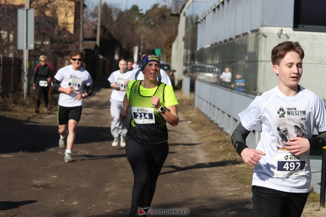 Bieg Tropem Wilczym 2026 Ostrołęka [01.03.2026] - zdjęcie #228 - eOstroleka.pl