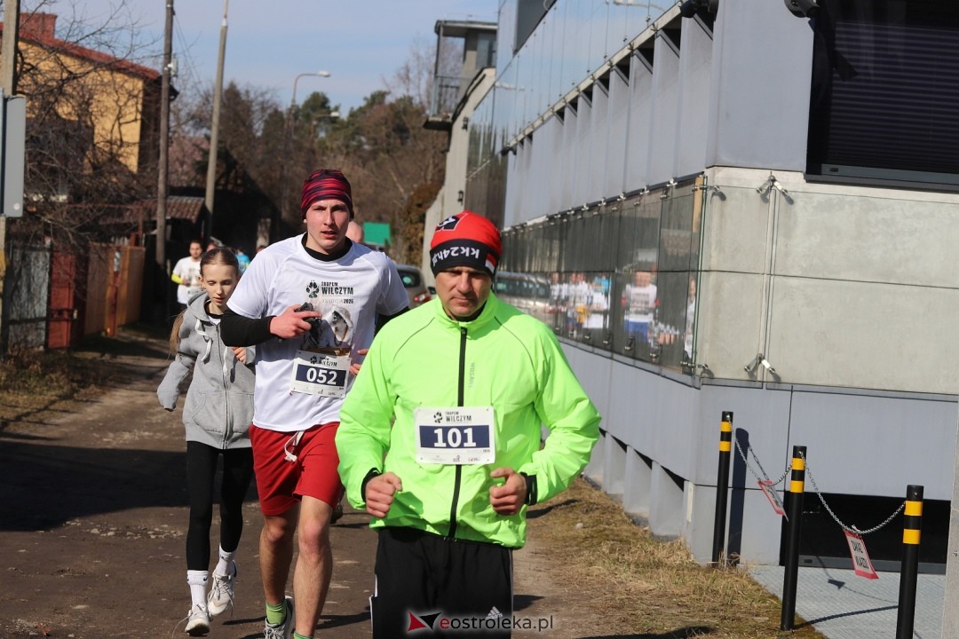 Bieg Tropem Wilczym 2026 Ostrołęka [01.03.2026] - zdjęcie #205 - eOstroleka.pl