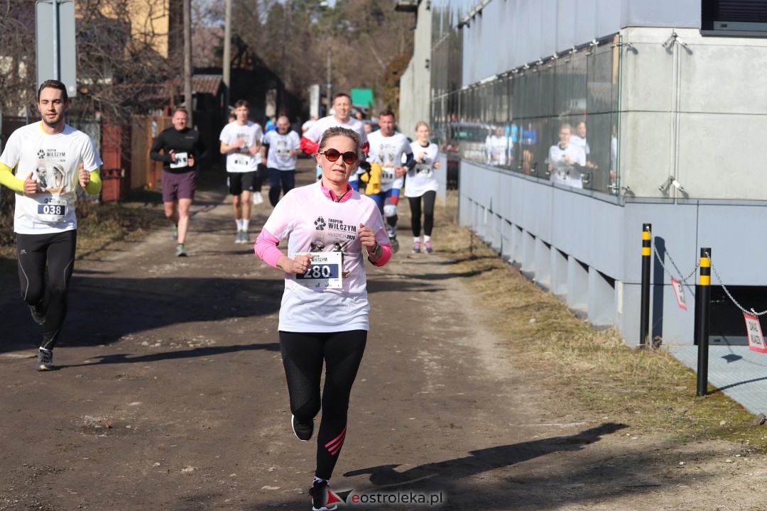 Bieg Tropem Wilczym 2026 Ostrołęka [01.03.2026] - zdjęcie #201 - eOstroleka.pl