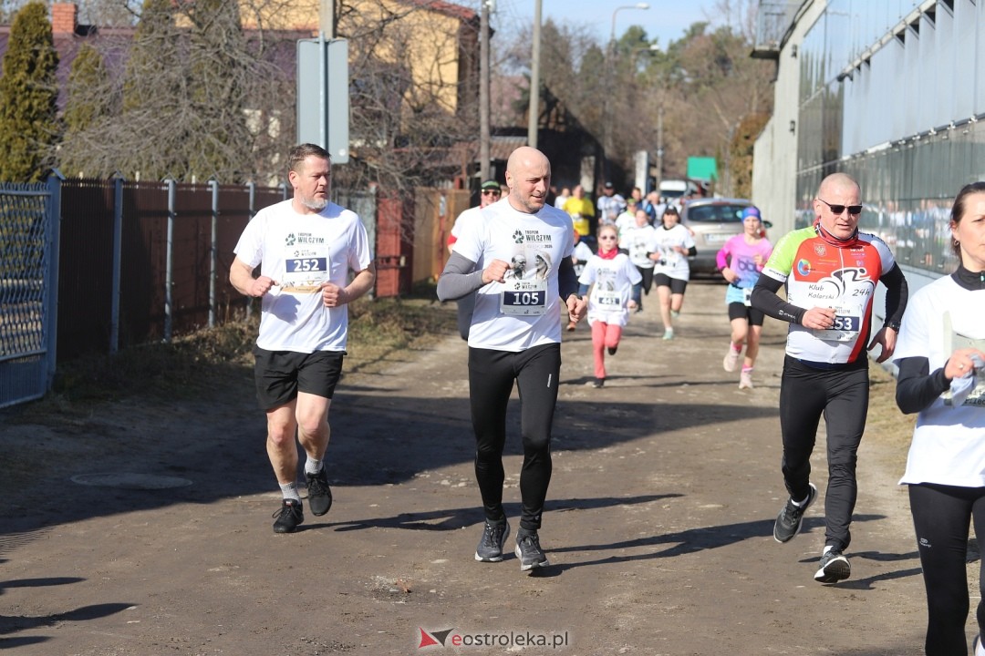 Bieg Tropem Wilczym 2026 Ostrołęka [01.03.2026] - zdjęcie #189 - eOstroleka.pl