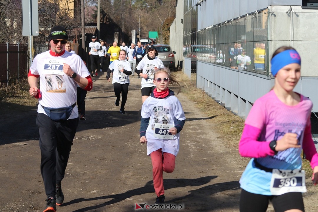 Bieg Tropem Wilczym 2026 Ostrołęka [01.03.2026] - zdjęcie #188 - eOstroleka.pl