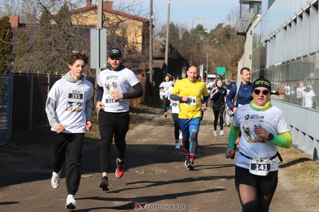 Bieg Tropem Wilczym 2026 Ostrołęka [01.03.2026] - zdjęcie #183 - eOstroleka.pl