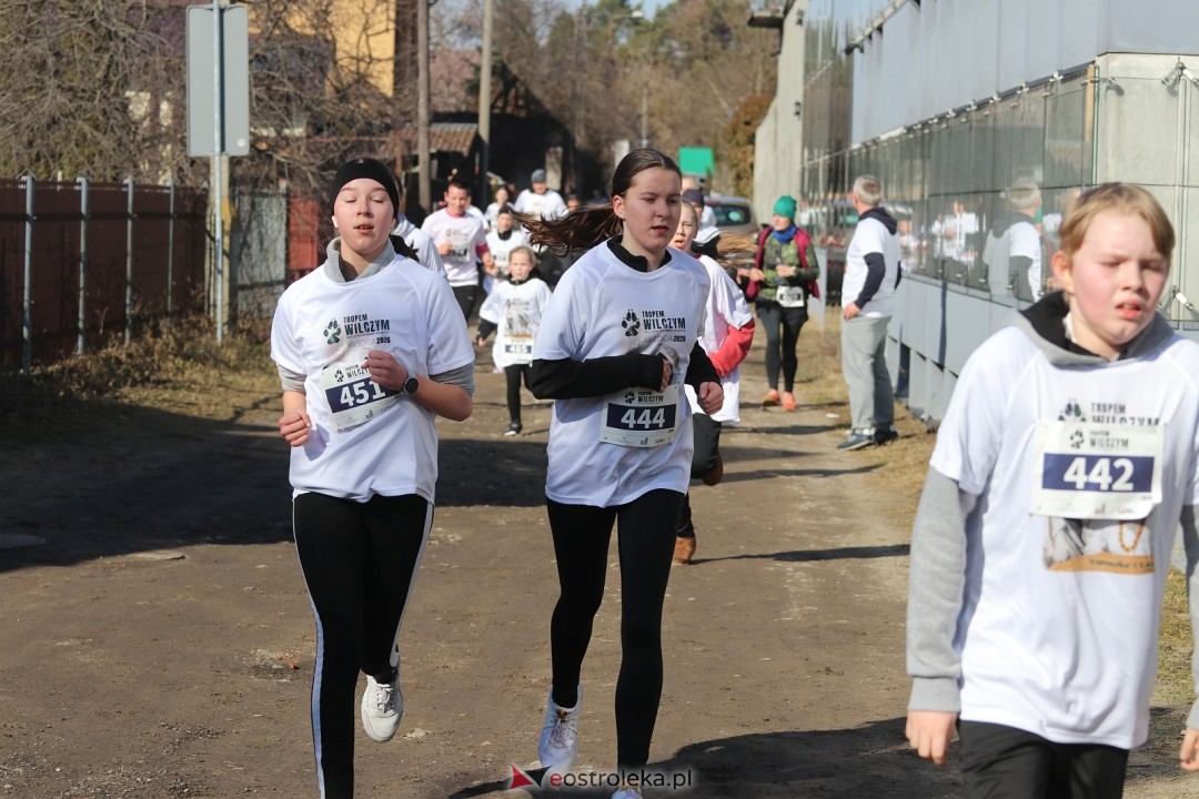 Bieg Tropem Wilczym 2026 Ostrołęka [01.03.2026] - zdjęcie #175 - eOstroleka.pl