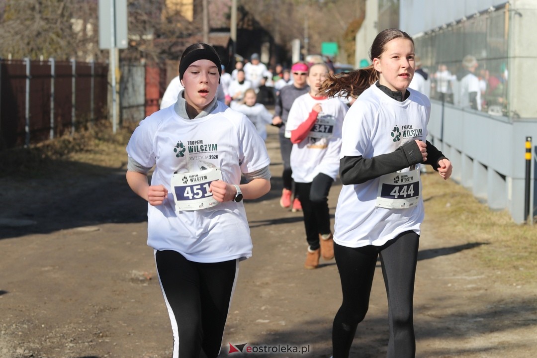 Bieg Tropem Wilczym 2026 Ostrołęka [01.03.2026] - zdjęcie #174 - eOstroleka.pl