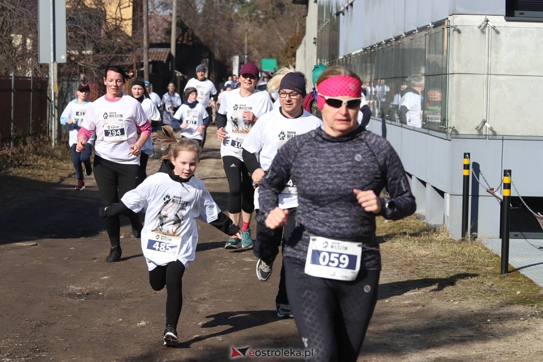 Bieg Tropem Wilczym 2026 Ostrołęka [01.03.2026] - zdjęcie #173 - eOstroleka.pl