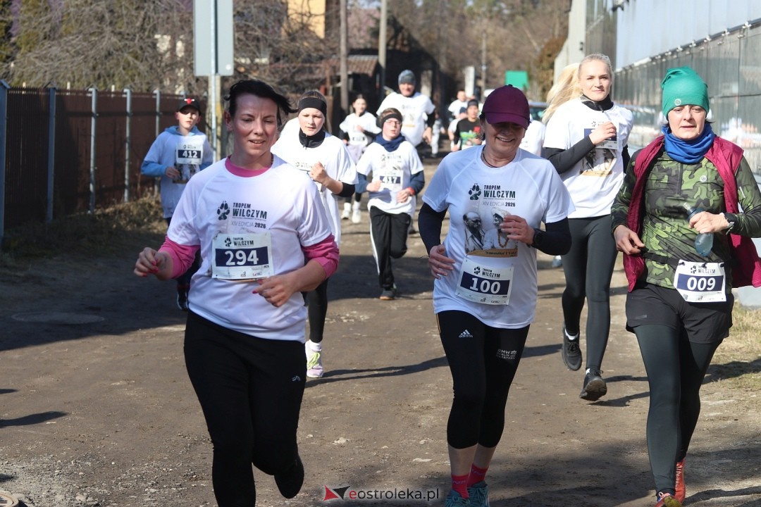 Bieg Tropem Wilczym 2026 Ostrołęka [01.03.2026] - zdjęcie #172 - eOstroleka.pl