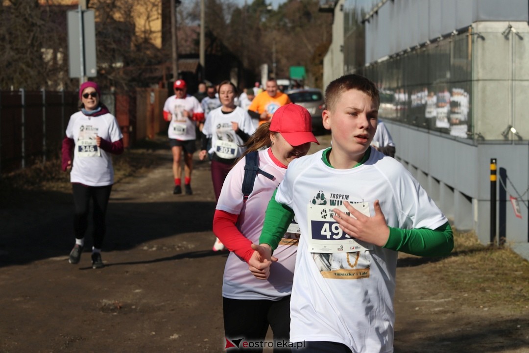 Bieg Tropem Wilczym 2026 Ostrołęka [01.03.2026] - zdjęcie #151 - eOstroleka.pl