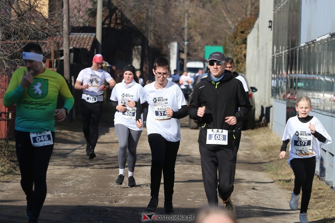 Bieg Tropem Wilczym 2026 Ostrołęka [01.03.2026] - zdjęcie #141 - eOstroleka.pl