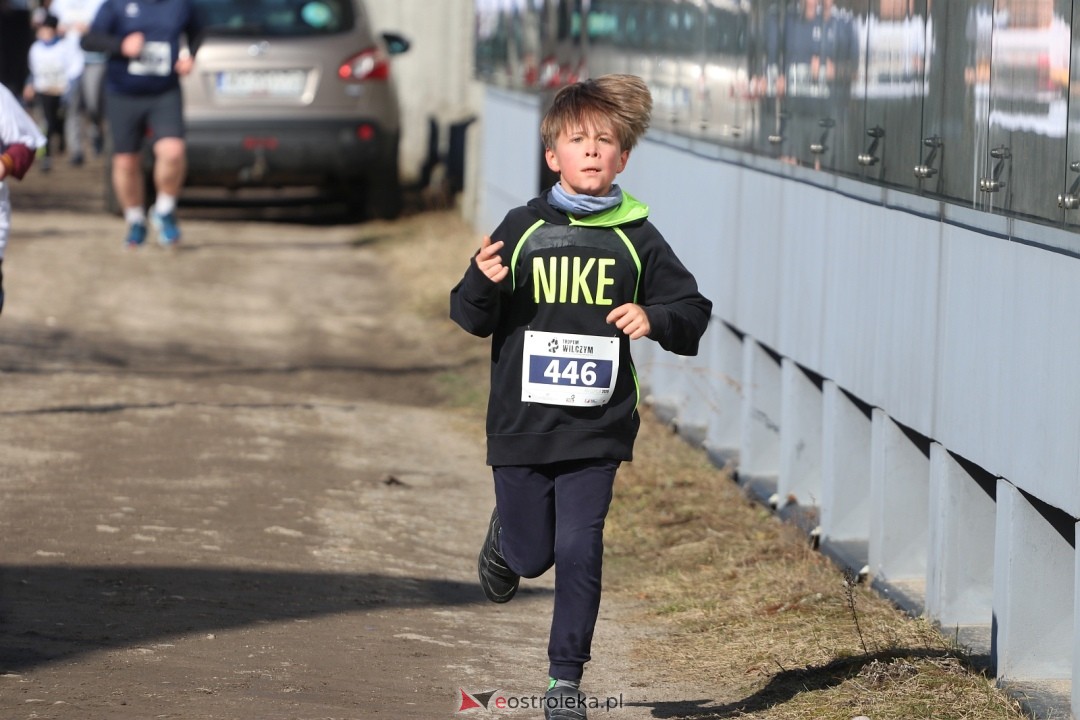 Bieg Tropem Wilczym 2026 Ostrołęka [01.03.2026] - zdjęcie #135 - eOstroleka.pl